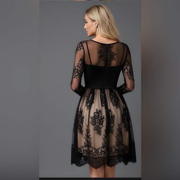 Lace Mesh Sheer Overlay Knee-length Dress Black - Picture 4 of 8